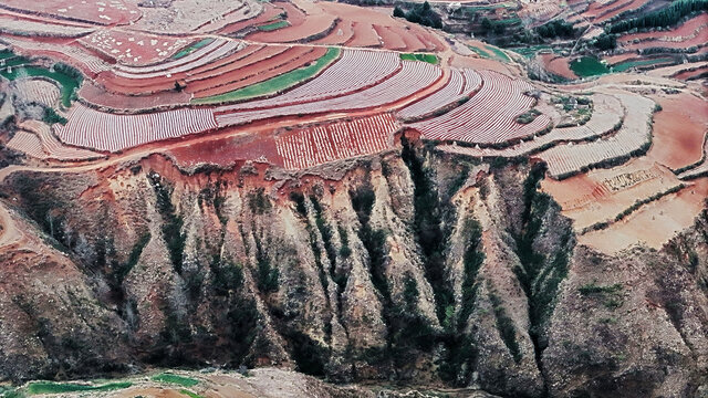 壮丽多彩的梯田景观