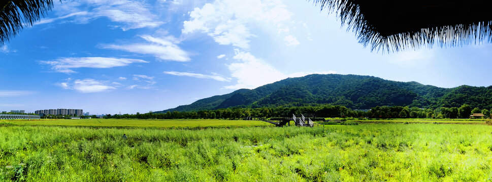 奉化龙潭湿地公园
