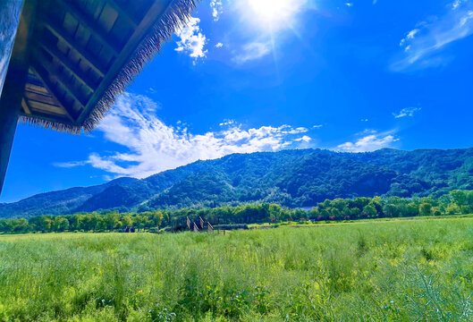 奉化龙潭湿地公园
