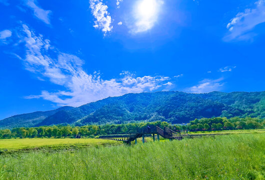 奉化龙潭湿地公园