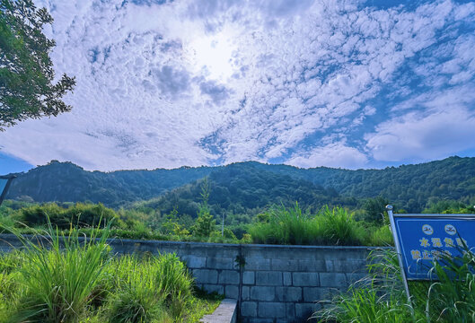 山林