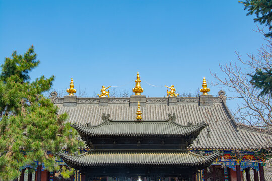 中式古建筑屋顶金饰景观