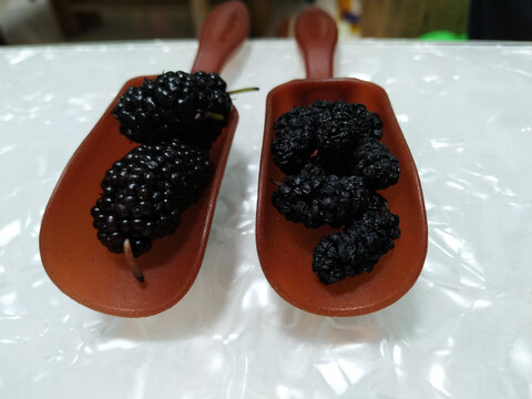 桑椹和桑椹干