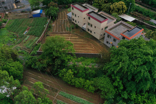 英德市大湾镇农村摄影