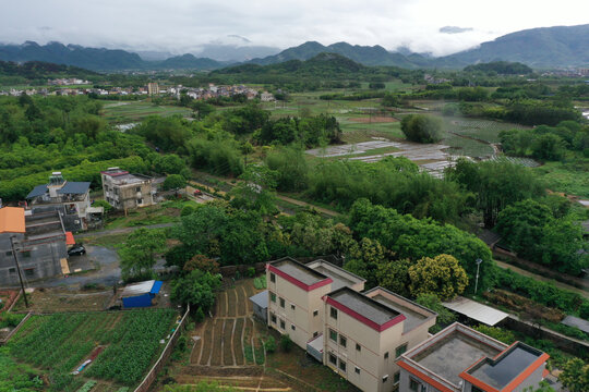 英德市大湾镇农村摄影