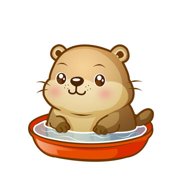 可爱水獭在红盆中泡澡
