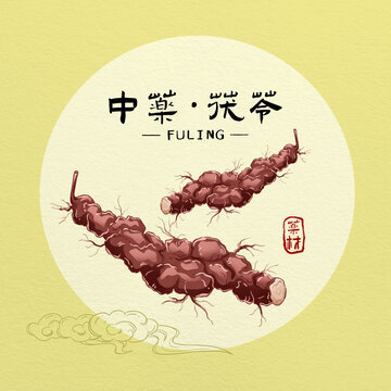 茯苓中草药插画
