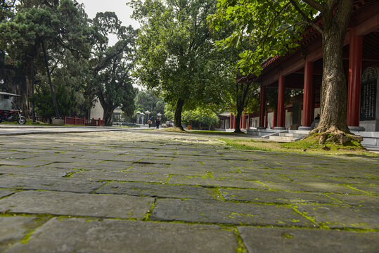 庭院