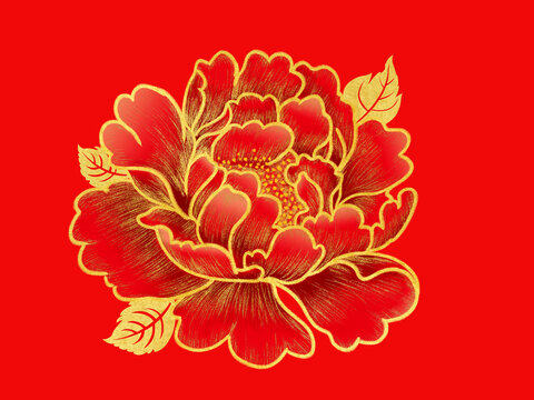 牡丹花