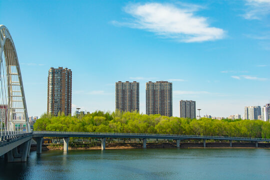 河畔桥梁与林立高楼美景