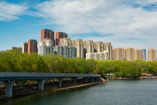 河畔城市风光与葱郁绿树