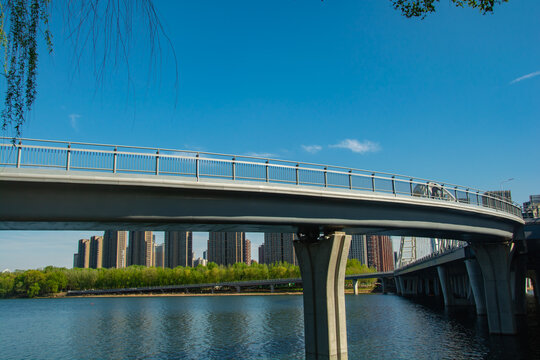 城市河畔桥梁风光