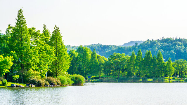 湖畔风光