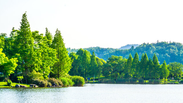 青山碧水