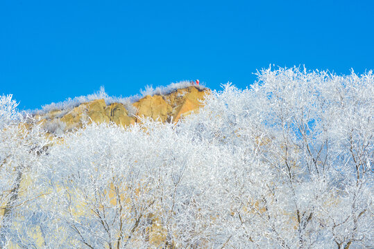 山崖雪景