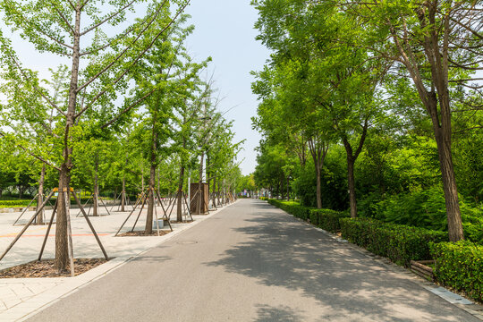 园林绿化