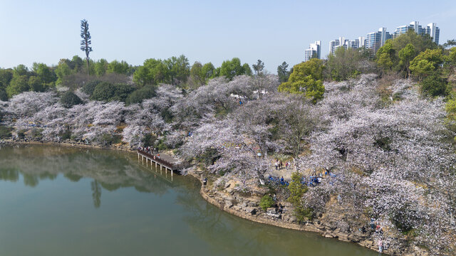 湖南省植物园