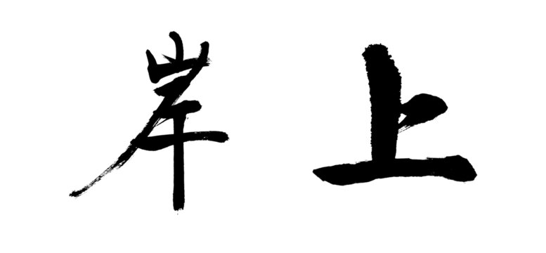上岸