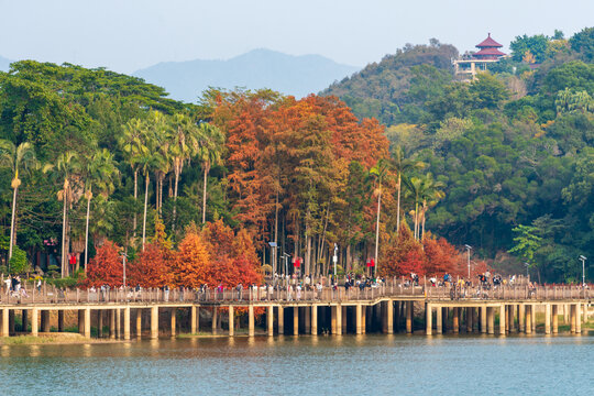 福州森林公园湖畔秋景中的热闹栈桥