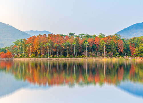 福州森林公园秋景