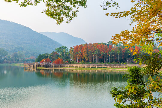 福州森林公园秋景