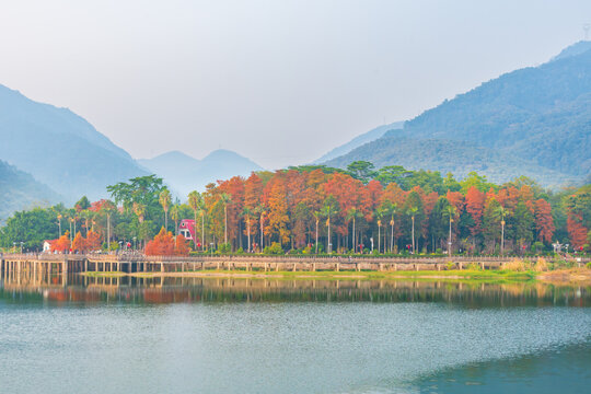 福州森林公园秋景