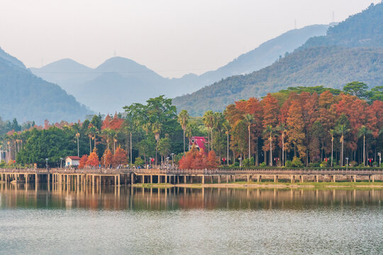 福州森林公园秋景