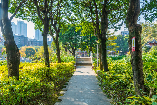 福州黎明湖公园林荫道