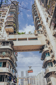 重庆白象居