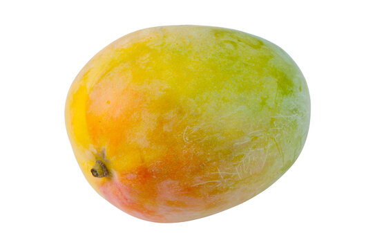 凯特芒
