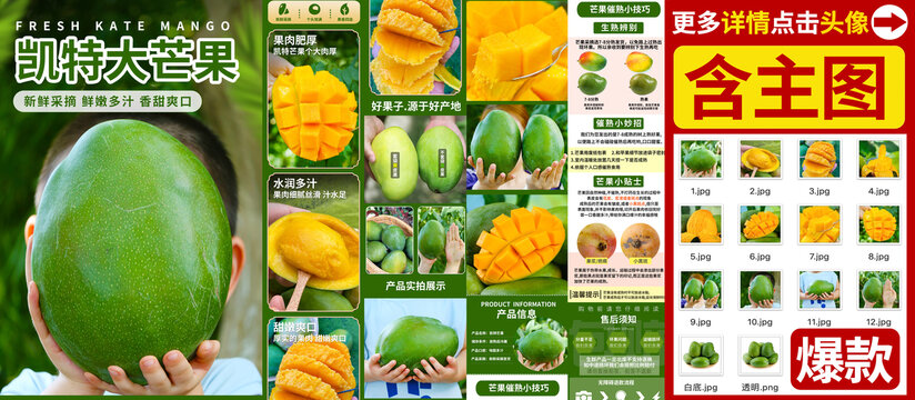 凯特芒详情