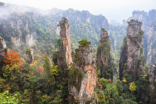 张家界奇峰秋日美景