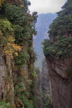 峡谷间的壮丽山林景致