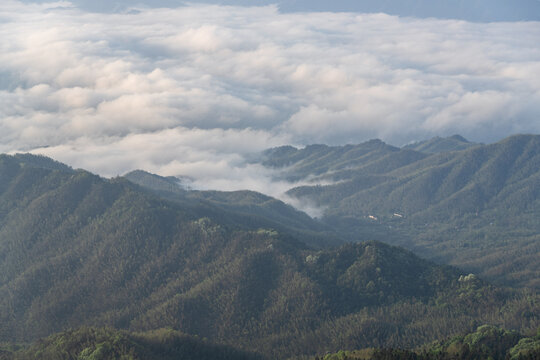 浏阳大围山的梦幻云海与杜鹃花海