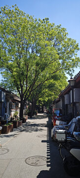 老北京胡同