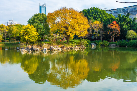 福州黎明湖公园秋景