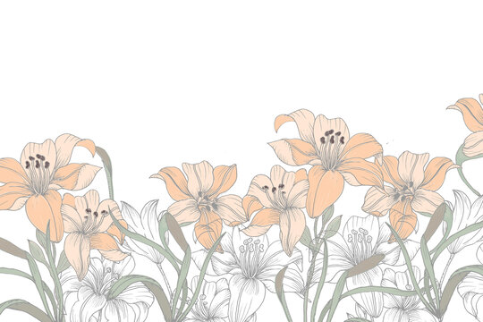 清新手绘风百合花图案