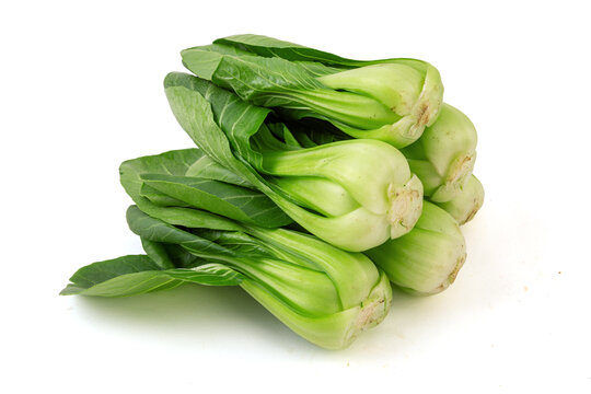 上海青小油菜蔬菜