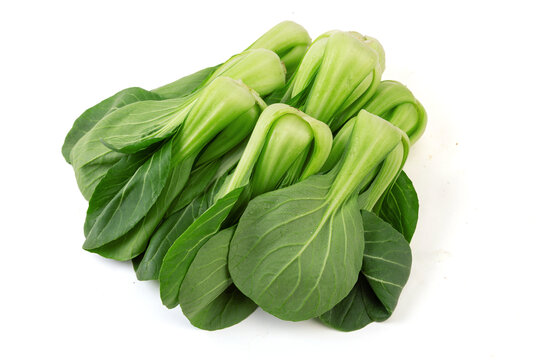 上海青小油菜蔬菜