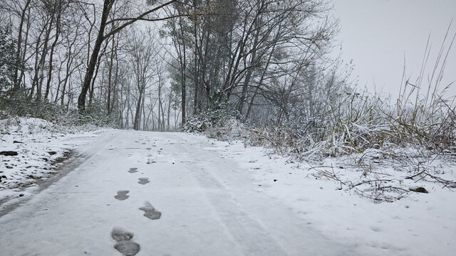 雪覆林间小路脚印清晰