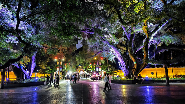 夜色中灯火璀璨的林荫道