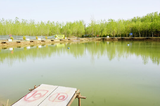 鱼塘钓鱼台