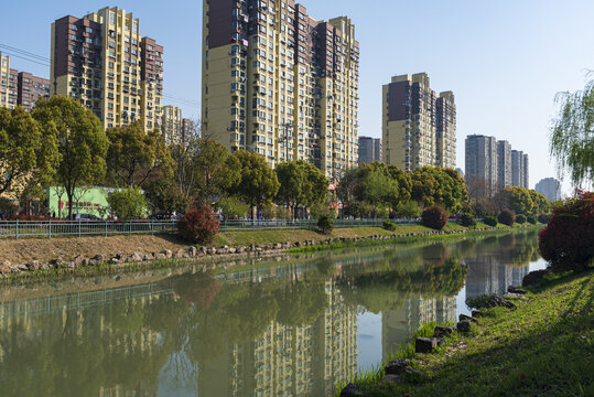 城市绿化与河道