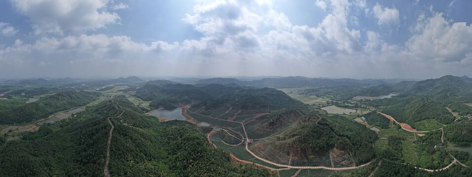 蓝莓基地