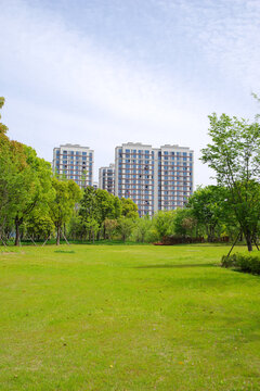 绿树环绕的城市草坪景观