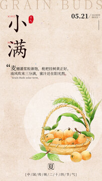 枇杷小麦小满节气竖版插画