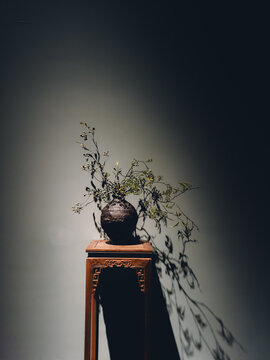 靠墙花瓶里的植物特写镜头