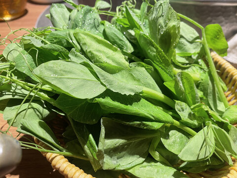 青菜