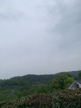 龙井村风景区