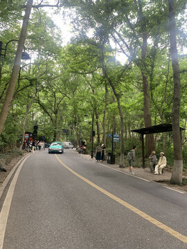 道路